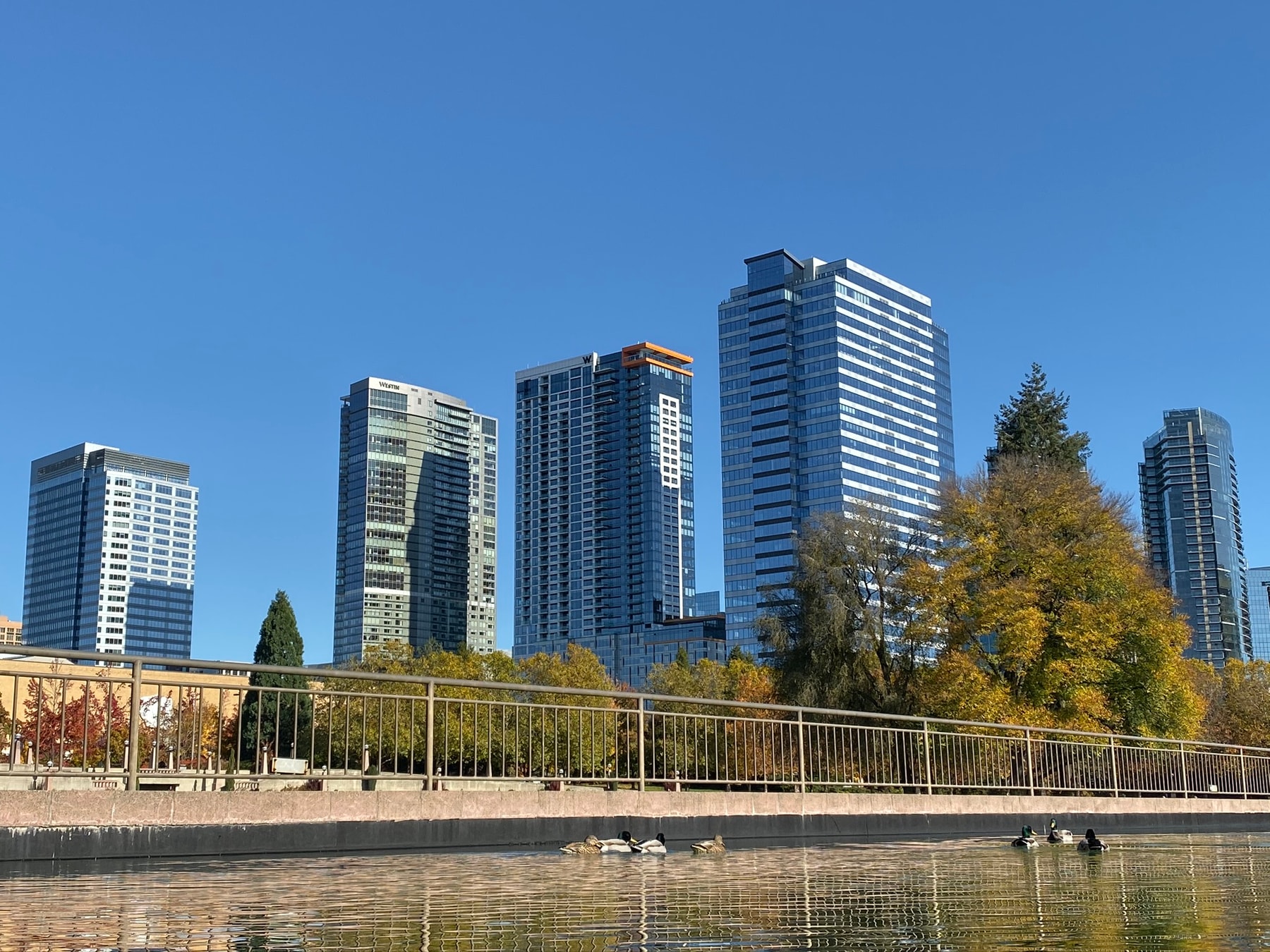 Bellevue skyline from Downtown Park