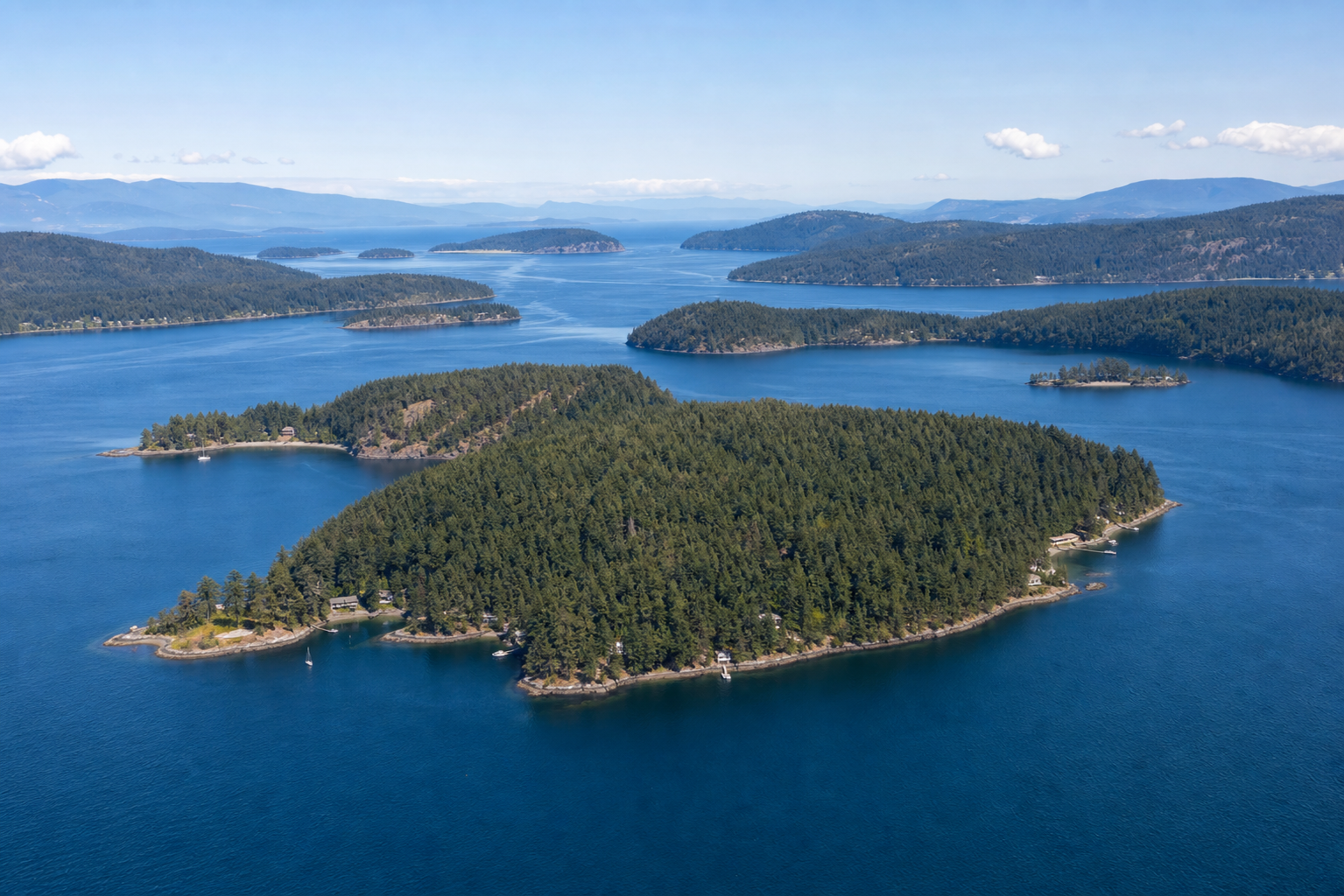 Illustrative forested island property in clear daylight